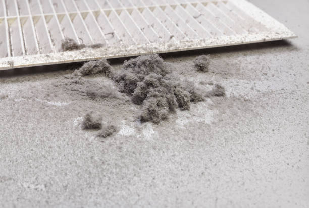 Best HVAC Duct Inspection Services  in Sayreville, NJ